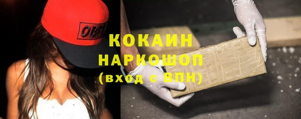 тгк Тайга