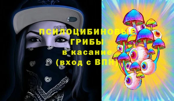 spice Сясьстрой