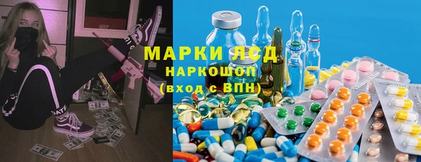 spice Сясьстрой