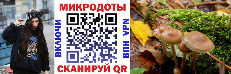 наркошоп  Ялта  дарк нет формула  Галлюциногенные грибы Psilocybine cubensis 
