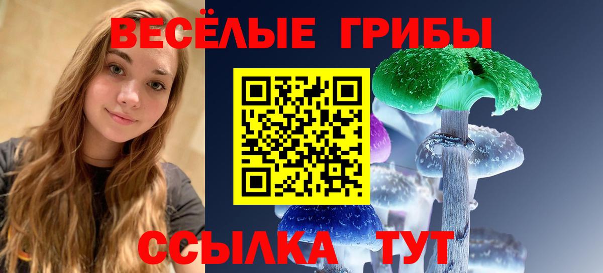 Галлюциногенные грибы прущие грибы  Вход с VPN  Ялта 