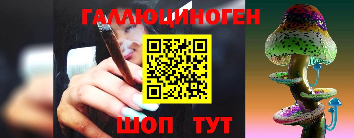 Псилоцибиновые грибы мицелий Ялта